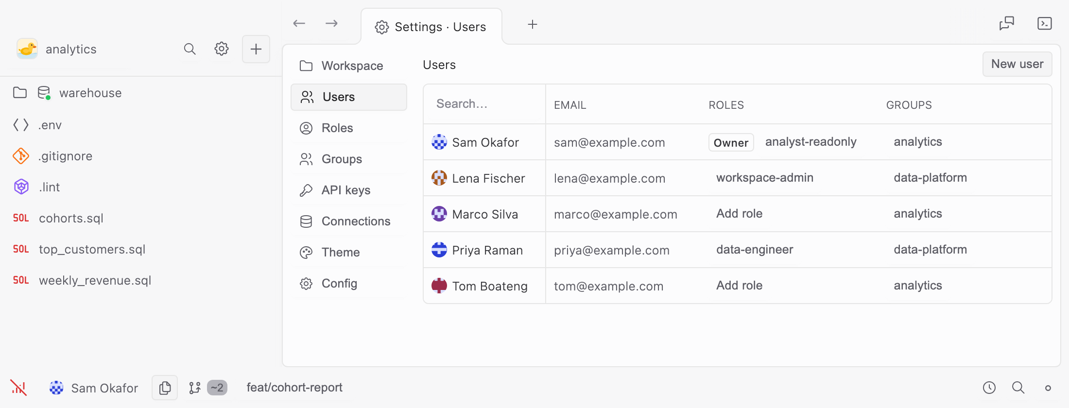 The workspace’s users: five people with their email, the roles each one holds, and the group they belong to. The first is marked Owner.